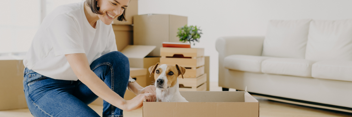 Moving to France with pets this is what you should know