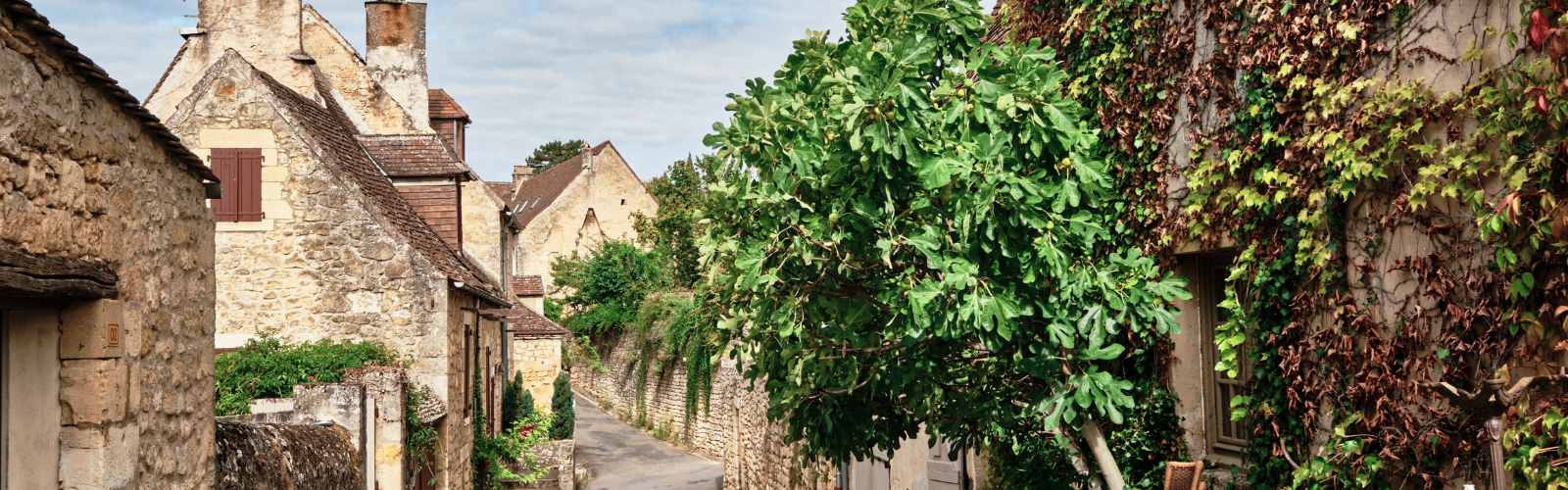 Moving to France After Brexit