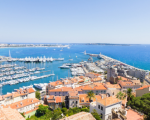 Just Jump Blog Banner - Moving to France with pets This is what you should know