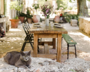 Starting a gîte business in France