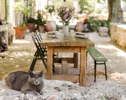 Starting a gîte business in France