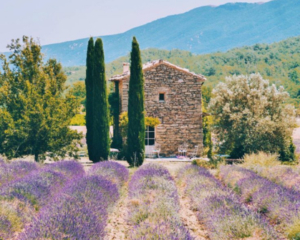 Just Jump Blog Banner - Why are French houses so cheap