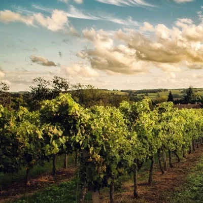 Discovering Occitanie