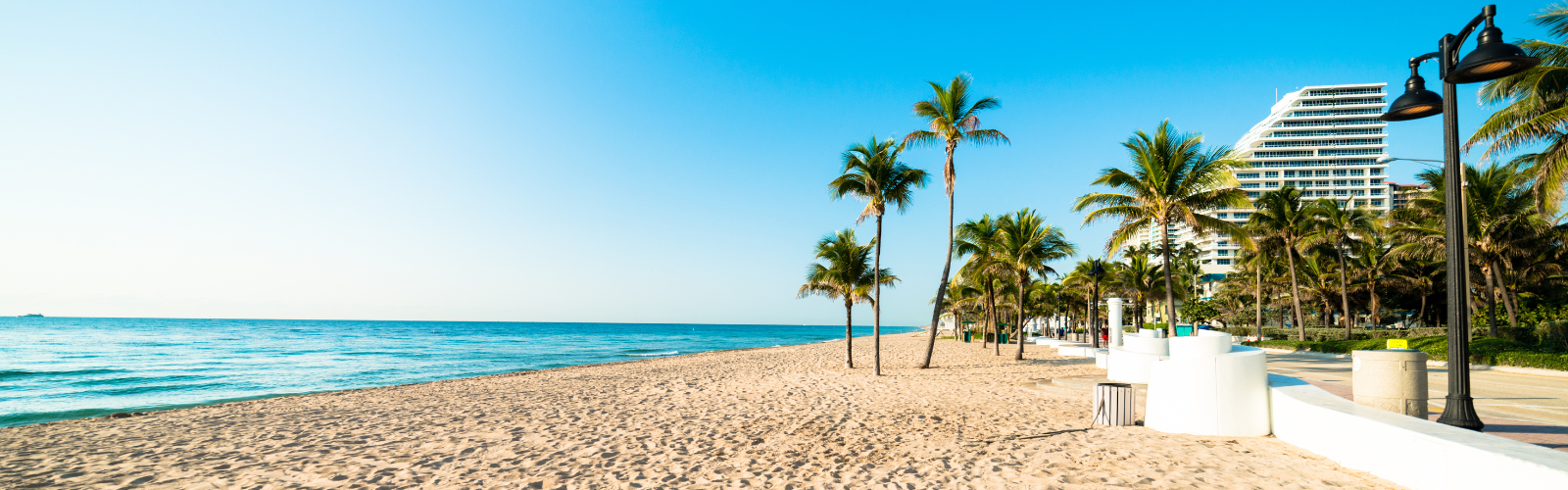 Just Jump Article Banner - Pourquoi il y a autant de Français en Floride