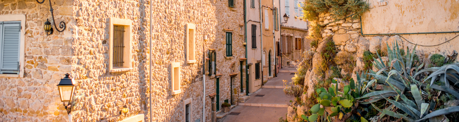 Fiscal Representation Services