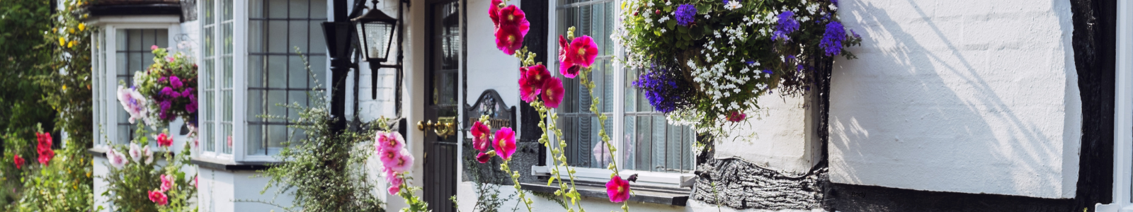 Success Stories of Ibanista Customers - Case 2