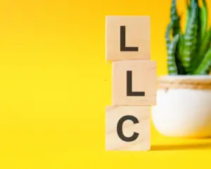 Just Jump Blog Banner - Can You Purchase a Property in France with an LLC