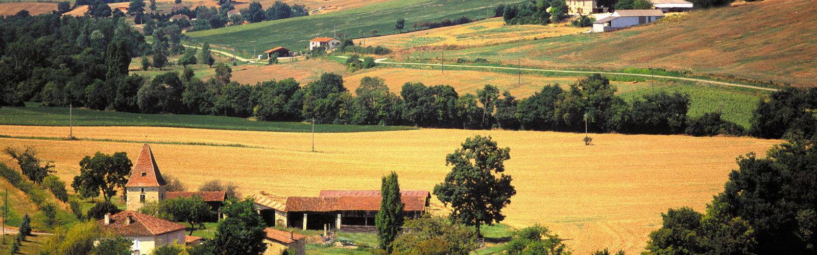 Gers The Hidden Gem of France for Expats