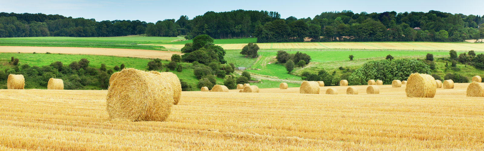 The Reality of Living in Rural France What expats need to consider