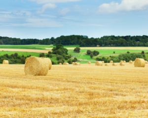 he Reality of Living in Rural France What expats need to consider