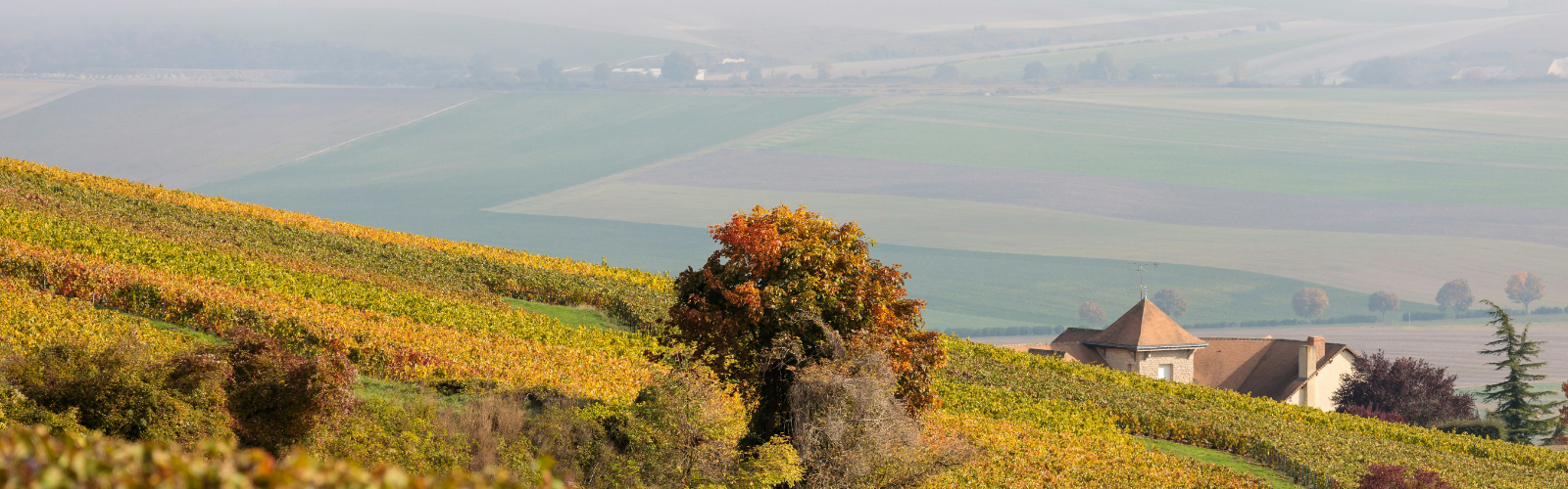 Renting Out Your French Property While Trying to Sell Pros and Cons