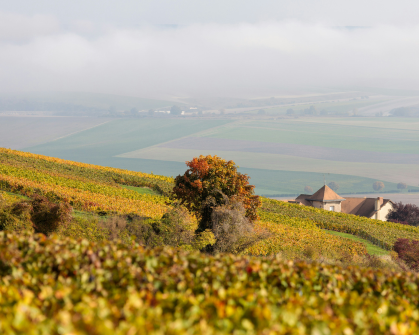 Renting Out Your French Property While Trying to Sell Pros and Cons