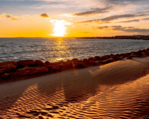 Why More Americans Are Moving to France While British Immigration Declines