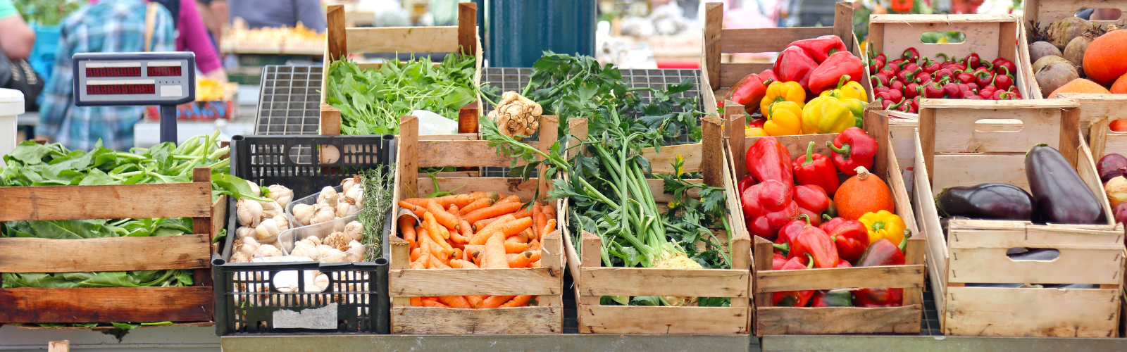Where to Live in France If You Love Food and Farmers' Markets