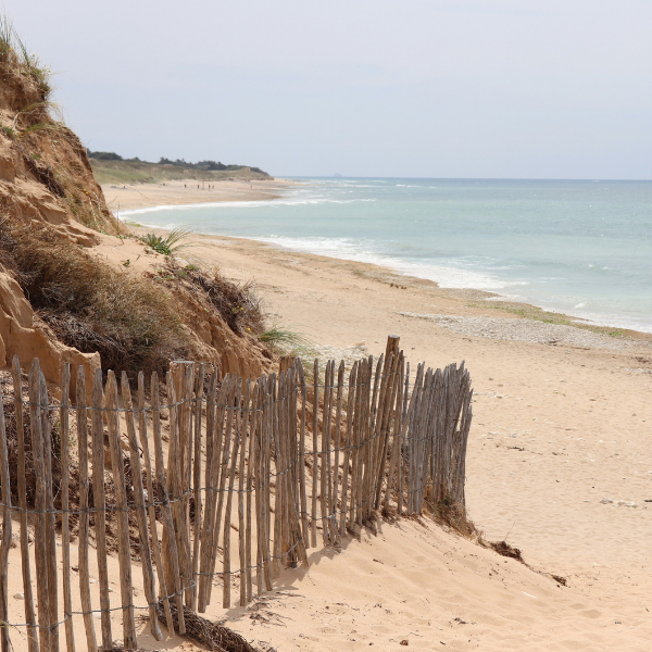 Île de Ré (Nouvelle-Aquitaine)