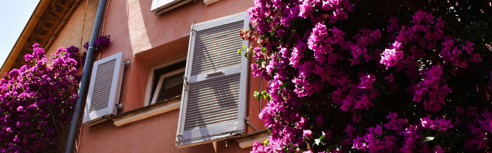 Banner - How to protect your budget from currency fluctuations