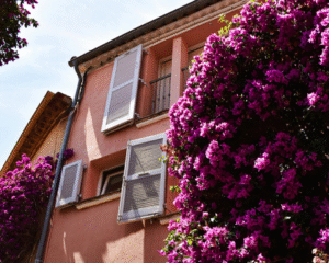 How to protect your budget from currency fluctuations