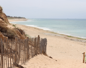 Top Regions for Expats in France_ Where to Settle Based on Your Lifestyle