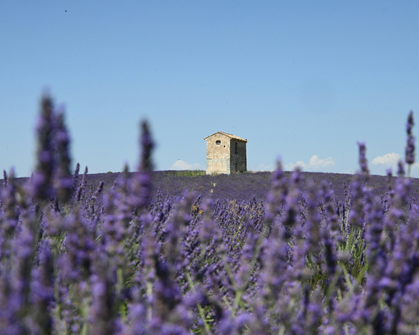 Top Lifestyle Perks of Living in France (That No One Talks About)