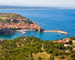 Where to buy in France in 2026