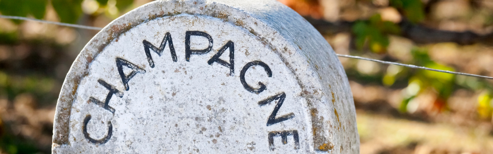 Living in Reims: Lifestyle, cost of living, and more